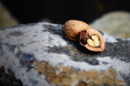 Leaf heart food nut Photo