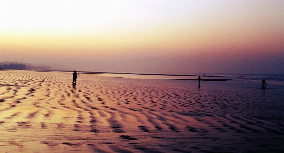 ビーチ 海 海岸 水 写真