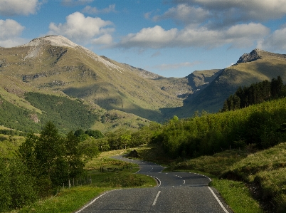 Landscape nature forest mountain Photo