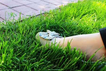 Grass outdoor person shoe Photo