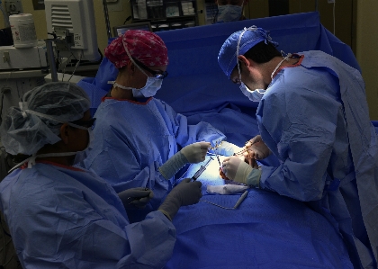 テーブル 装置 生物学 人間 写真