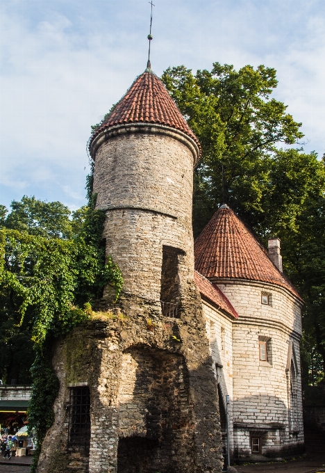 Budynek pałac
 miasto dom