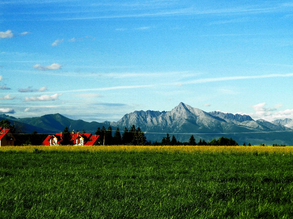 景观 草 地平线 山