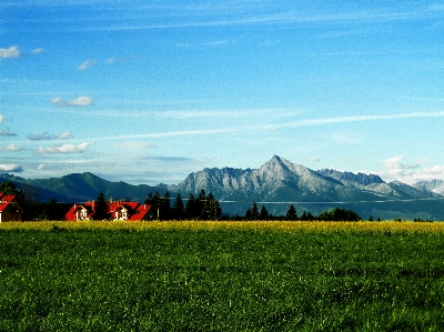 Landscape grass horizon mountain Photo