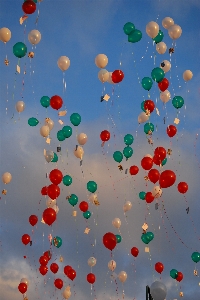 Sky white petal balloon Photo