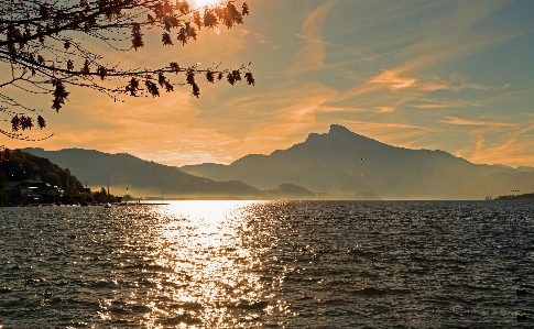 Landscape sea coast tree Photo