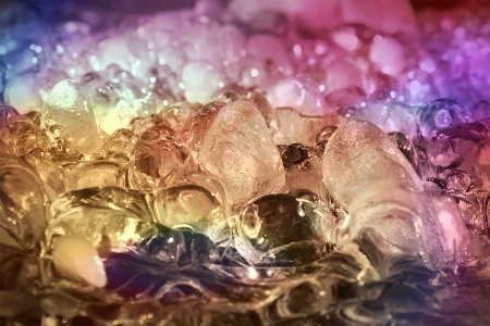 Sunlight flower petal ice Photo