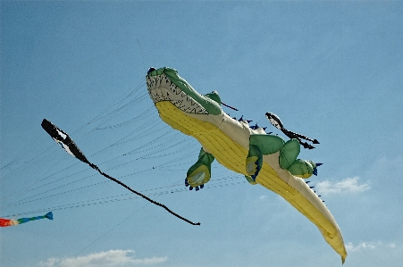 Beach wing sky wind Photo