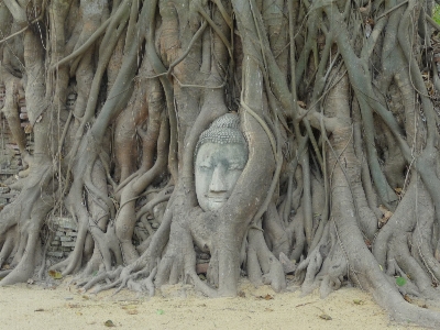 木 砂 旅行 銅像 写真