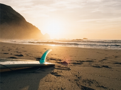 Beach sea coast water Photo