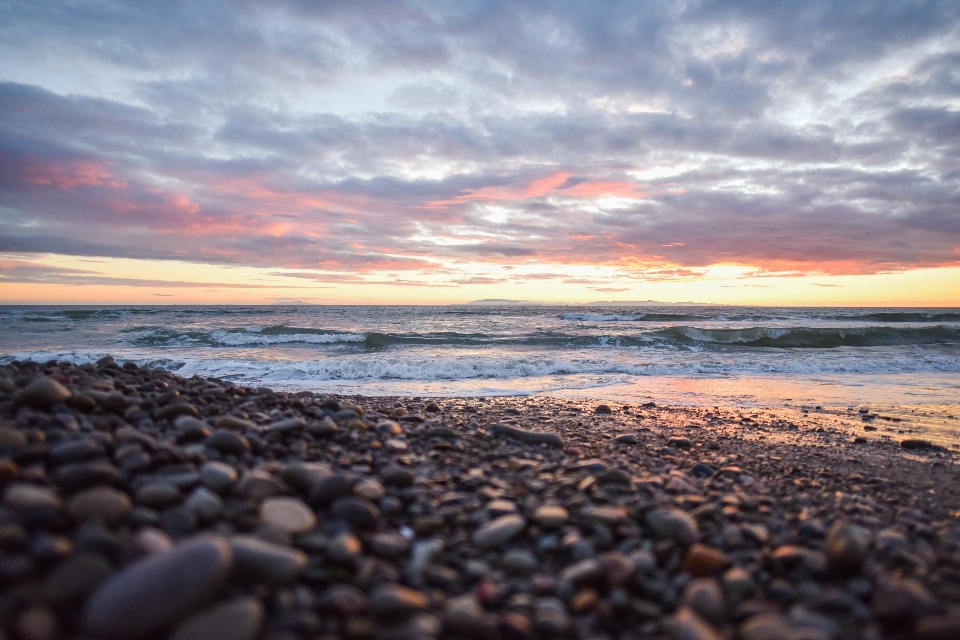 Beach sea coast nature