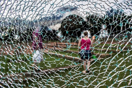 Photo Fleur verre cassé art