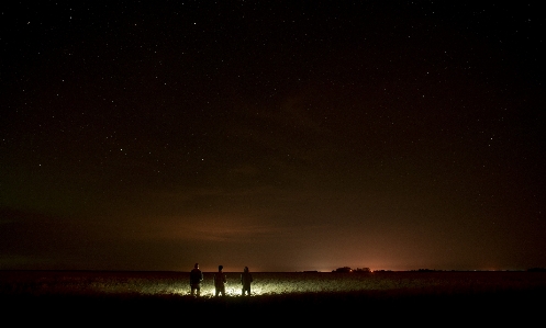 Natur feld nacht stern Foto