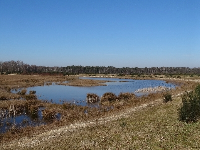 Landscape water nature marsh Photo