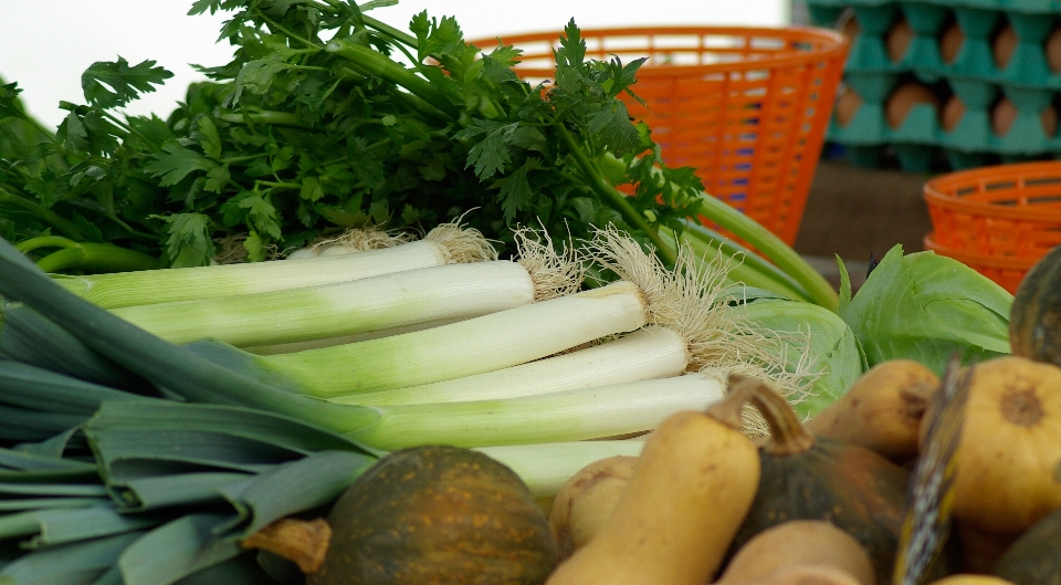 Essen kraut produzieren gemüse