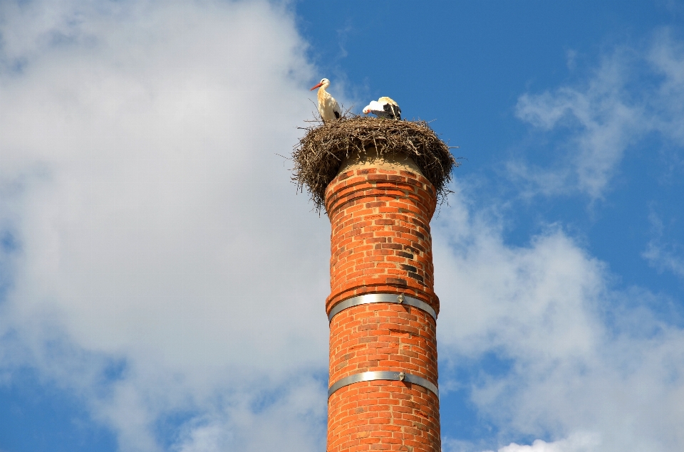 Eau oiseau nuage ciel