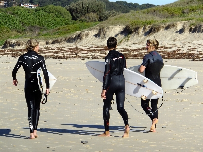 Beach outdoor sand board Photo