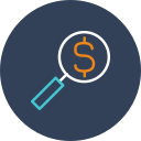 Magnifying glass Icon