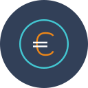 Euro coin Icon