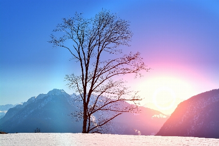 木 自然 地平線 山 写真