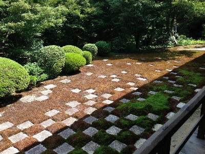 風景 草 芝生 壁 写真