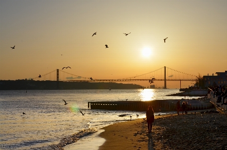 ビーチ 海 海岸 海洋 写真