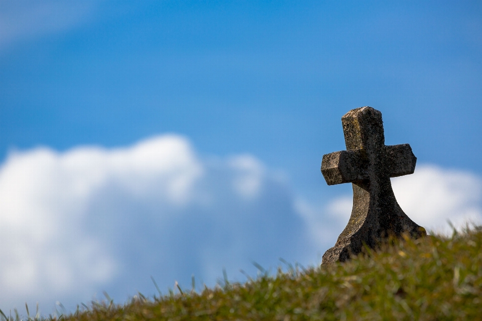 Grama nuvem céu campo