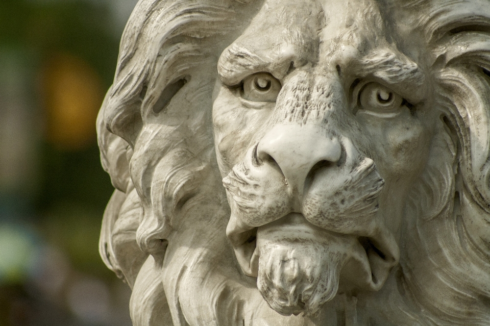 Monument statue zoo lion