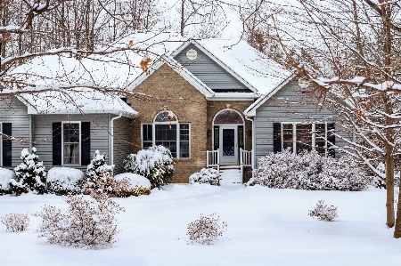 Tree snow winter architecture Photo