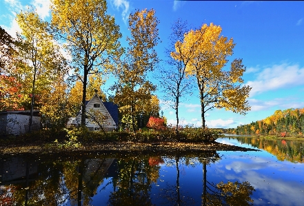 Landschaft baum wasser natur Foto