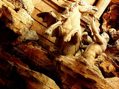 Tree rock wood formation Photo