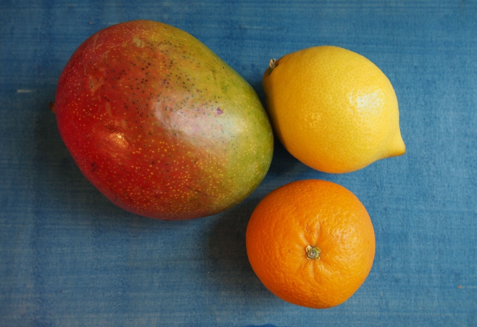 Planta fruta naranja alimento