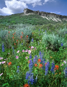 Landscape grass wilderness mountain Photo