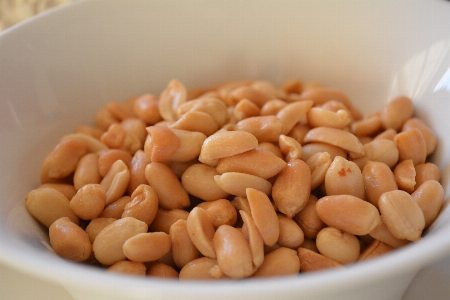 Plant fruit dish food Photo