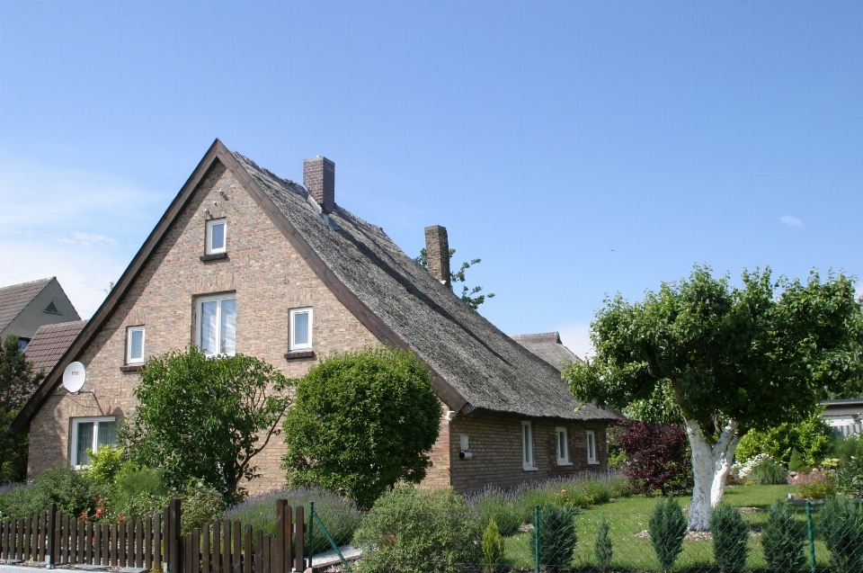 Nature architecture house roof