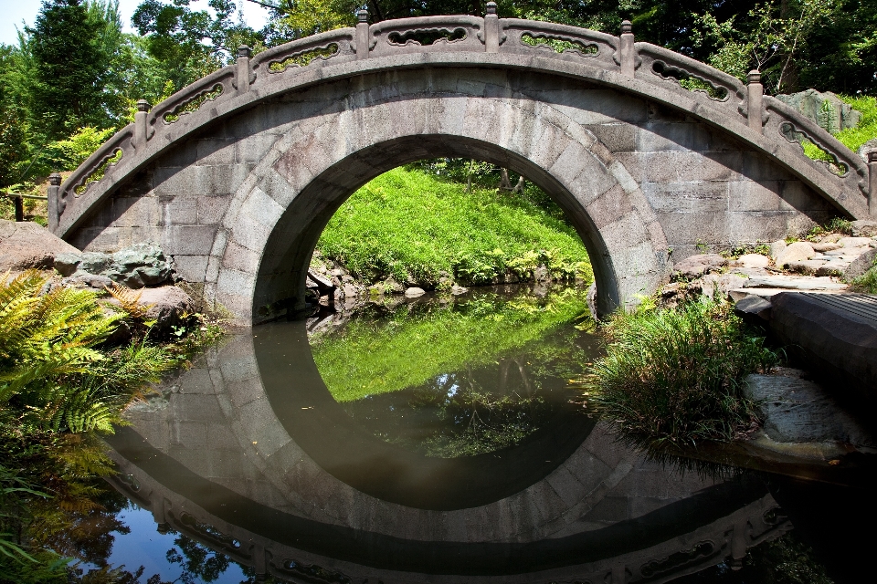 Paesaggio acqua architettura ponte