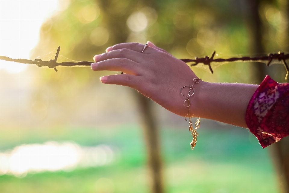 Hand tree nature outdoor