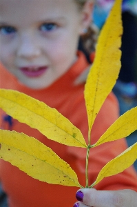 Nature forest outdoor people Photo