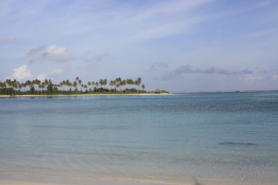 Praia mar costa água