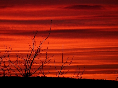 Horizon cloud sky sunrise Photo