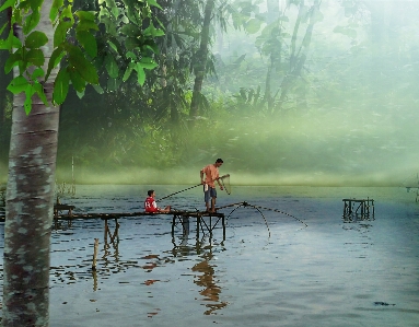 Foto Laut air alam hutan