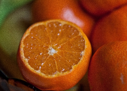 Foto Tanaman buah oranye makanan