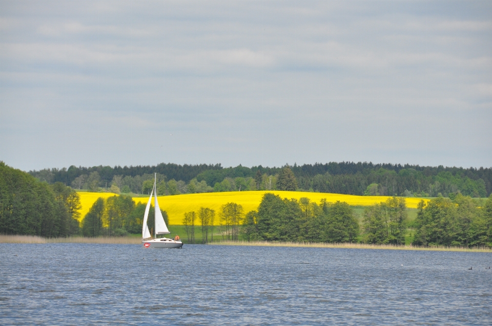 Mar naturaleza bote campo