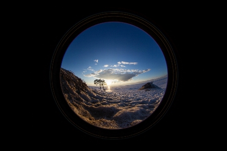 Landscape sea tree nature Photo