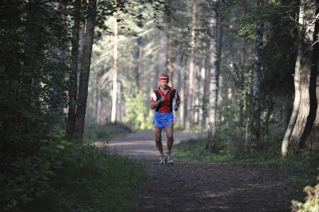 Man forest walking trail Photo