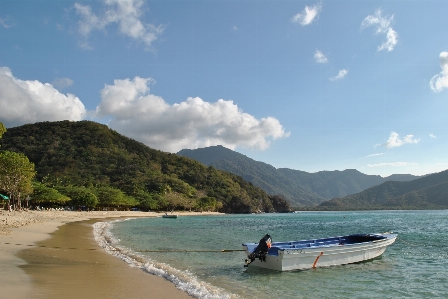 海滩 海 海岸 水 照片