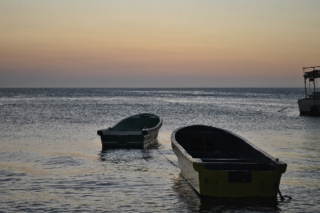 Beach sea coast water Photo