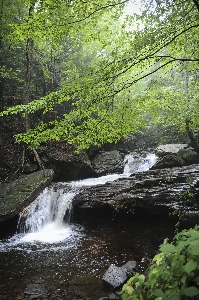 Landscape tree water nature Photo