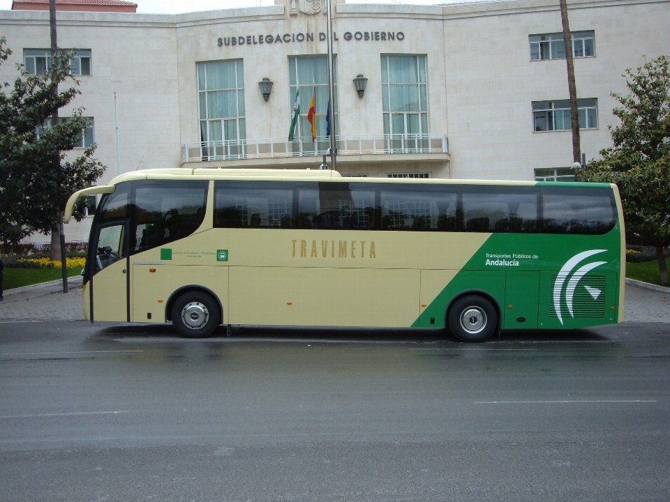 Auto urbano transporte vehículo