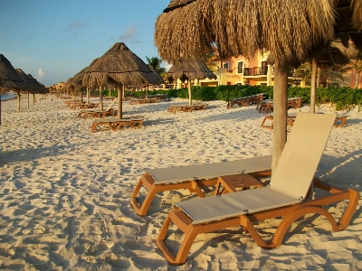 Beach sand horizon wood Photo